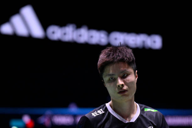 陶菲克究竟是不是华裔?深度解析其家族背景