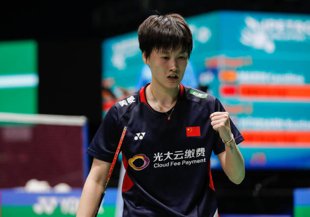 羽毛球场详细尺寸图：单打与双打区域划分