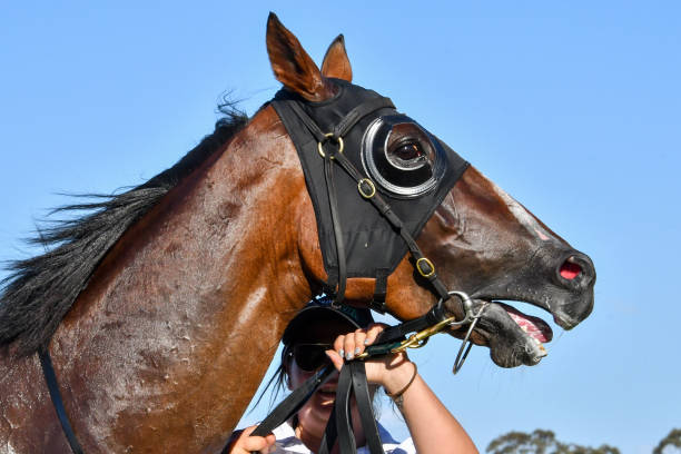 全面掌握NBA规则:图解版篮球规则手册