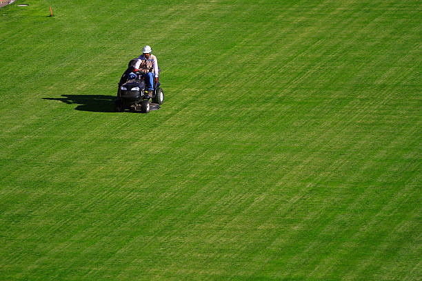 年龄不是问题!梅西和C罗如何保持巅峰状态?