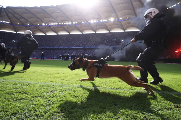 ? 欧冠赛场德国球队表现：拜仁&多特最新比赛视频解析！