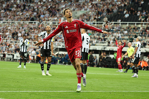 设计的力量：比利时足球队徽如何影响球队形象15年