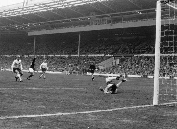 青岛足球公园:市民休闲运动与专业训练的双重空间