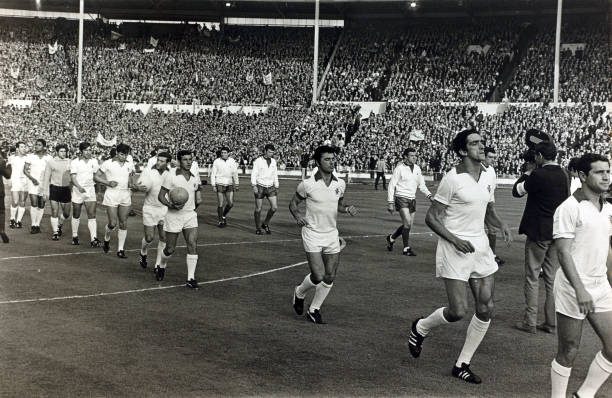 二年级看图写话:足球跑到马路上了