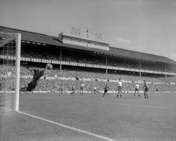 从零开始学习博格坎普式转身：完整动作分解教学