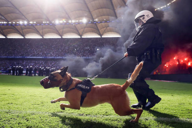 八人制足球场地平面图设计:关键尺寸与比例解析