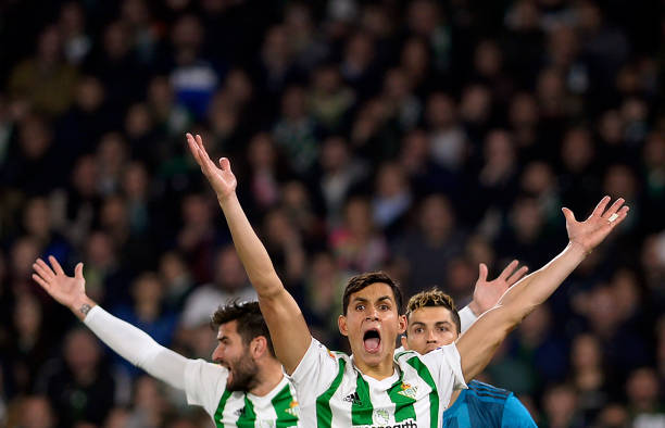 德甲官方网站入口:下载官方APP获取赛事提醒