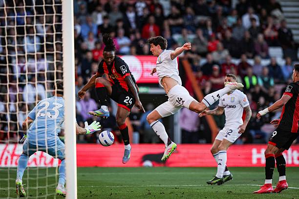 1955年欧洲冠军杯：参赛球队及其传奇故事