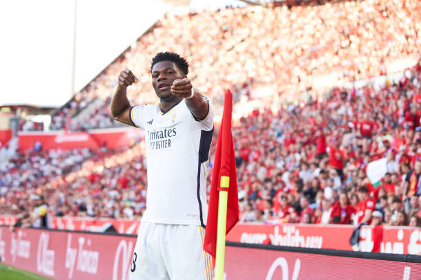 谁说猫不会踢球?黑猫带球射门实力圈粉