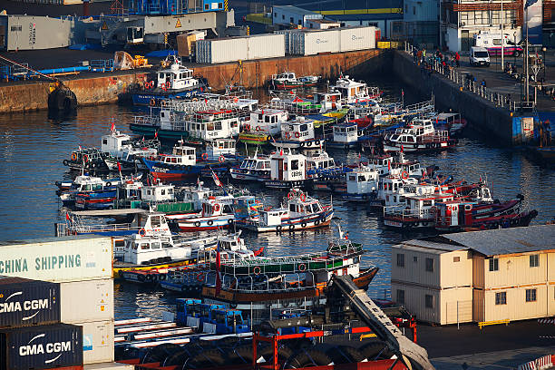 菲戈点评C罗欧洲杯征程:年龄不是问题,斗志才是关键