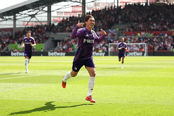 从法甲到欧冠：里昂球星的闪耀时刻