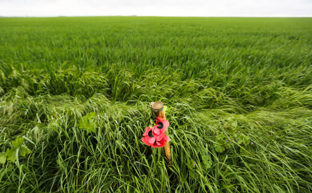 穆勒退役后的去向：家庭、商业还是足球青训？