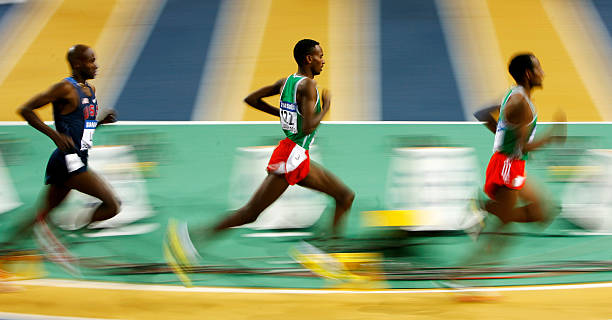 跳水赛事日历：几月几号有哪些比赛？