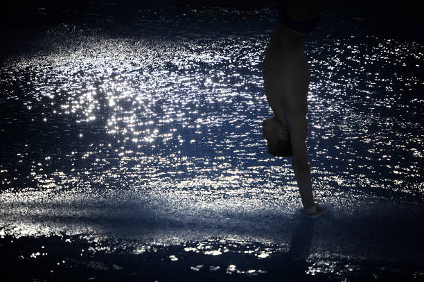 从赛场到商界，吴敏霞近况揭秘创业之路