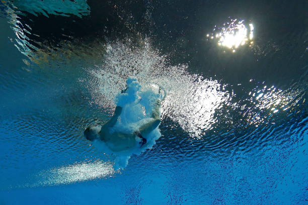 田亮女儿森碟出生年份大公开,网友:原来她和我是同一年!