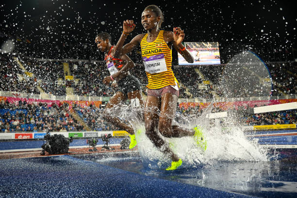 十米跳台下的爱情:豪门继承人的秘密婚约