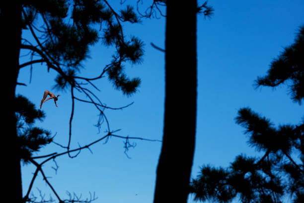 宁泽涛生活照精选：展现运动员的另一面