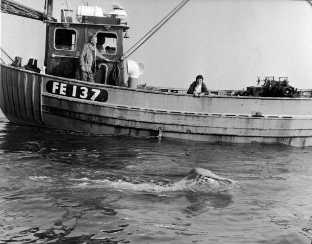 成人游泳教练培训:如何从零开始指导初学者