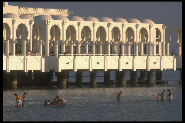 游泳姿势全面对比：速度、耗能、难度大揭秘