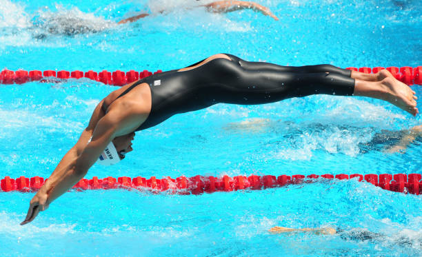 游泳教练员证书考试时间、报名方式及备考策略
