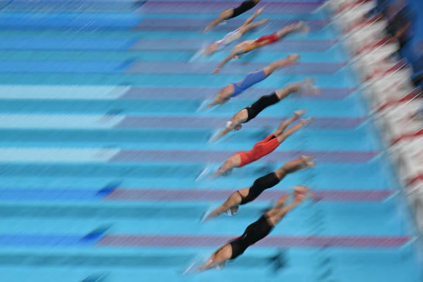 游泳赛事成绩查询平台:提供详细的分项成绩与历史记录