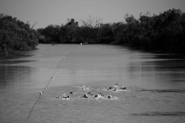 为什么室内游泳馆更适合家庭活动?