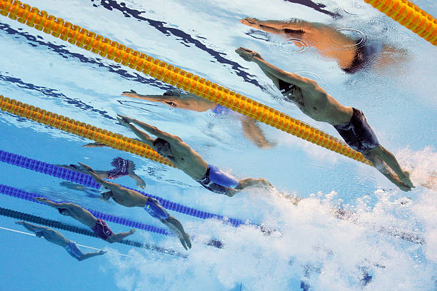 从入门到专业：少儿游泳运动员等级标准指南