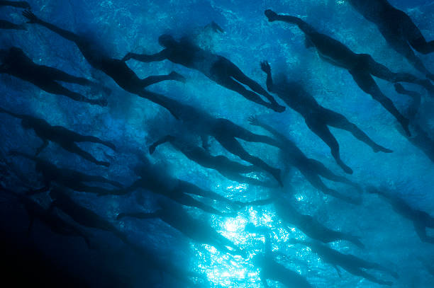 中国男子游泳队4×100米接力夺冠,实现历史性突破!