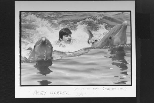 想通过游泳锻炼身体？先了解自由泳和蛙泳的区别！