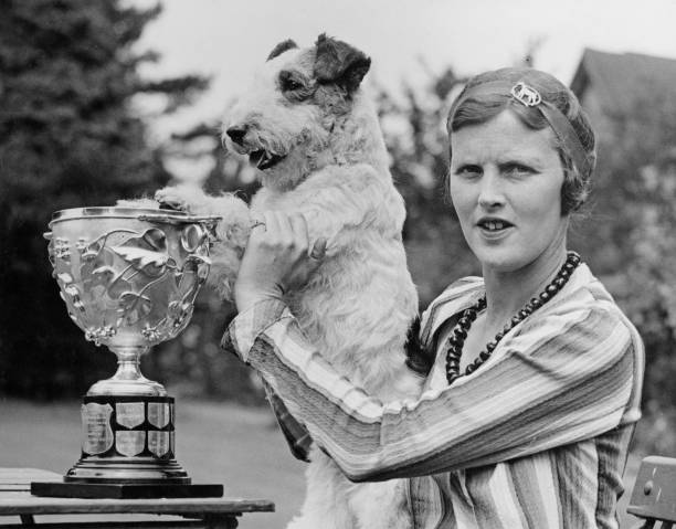 阿尔卡拉斯冲击澳网2025冠军:直播时间与观赛指南