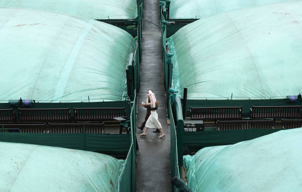 网球比赛中的局数规则：一盘需要赢几局？