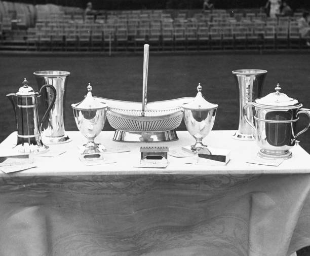 国内哪些大学招收网球特长生？招生名额有多少？