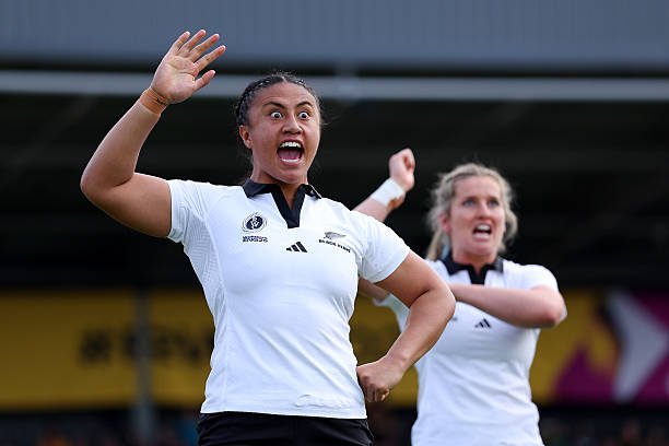 2025年世界杯足球赛举办地预测：哪些国家有望成为东道主？