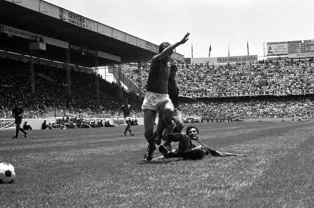 从邓亚萍到陈梦：历届世界杯女单冠军的传奇故事