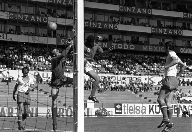 世界杯总决赛队伍数量:32队还是其他?